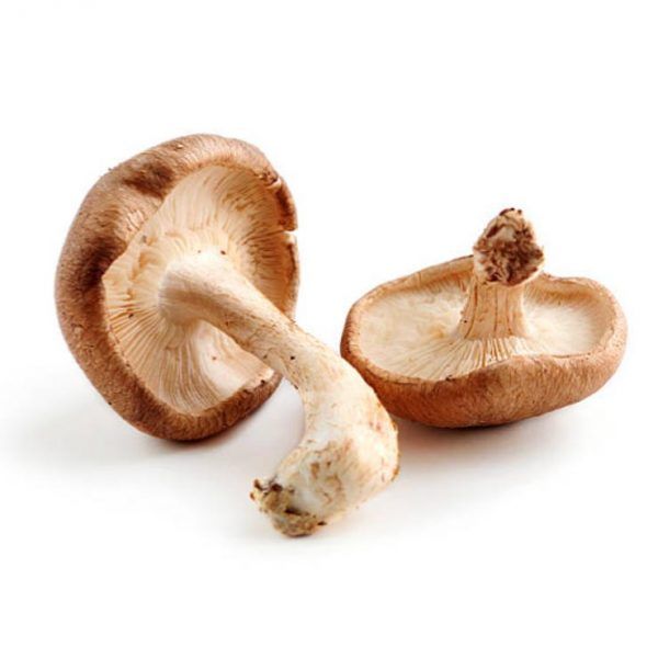 shiitake