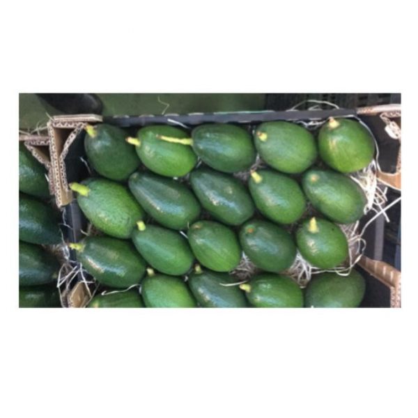 caja aguacates