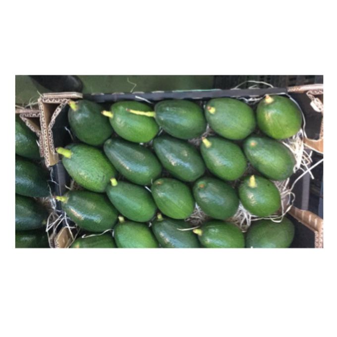 caja aguacates