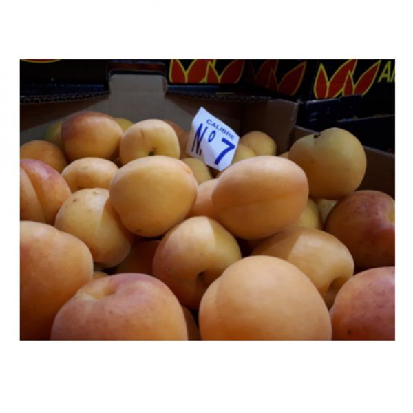 Caja albaricoques