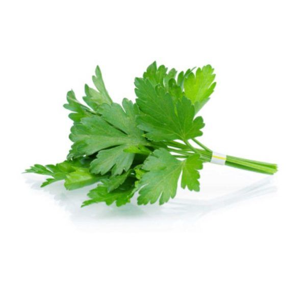 coriandro