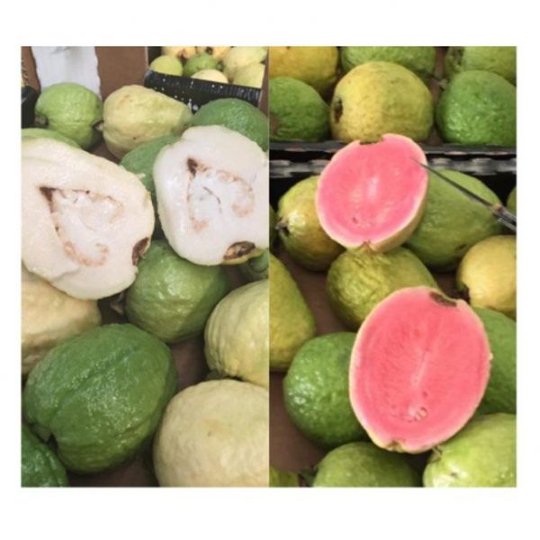 caja de guayaba