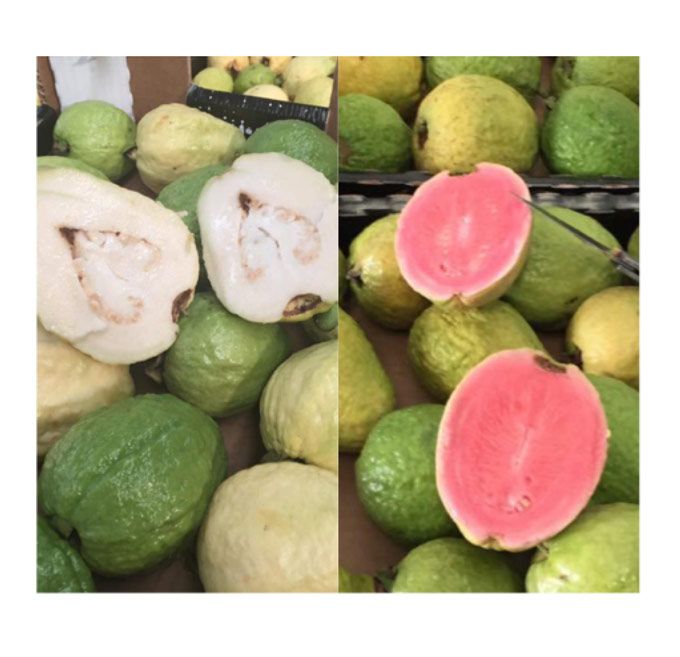 caja de guayaba