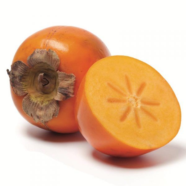 kaki persimon
