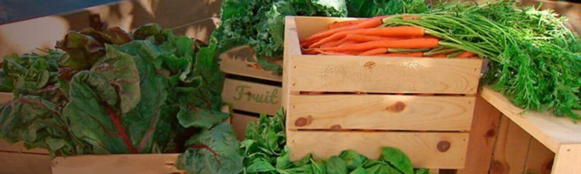 fruta y verdura supermercados y grandes superficies