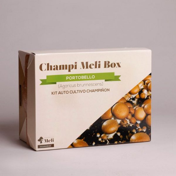 cultivo de setas en casa