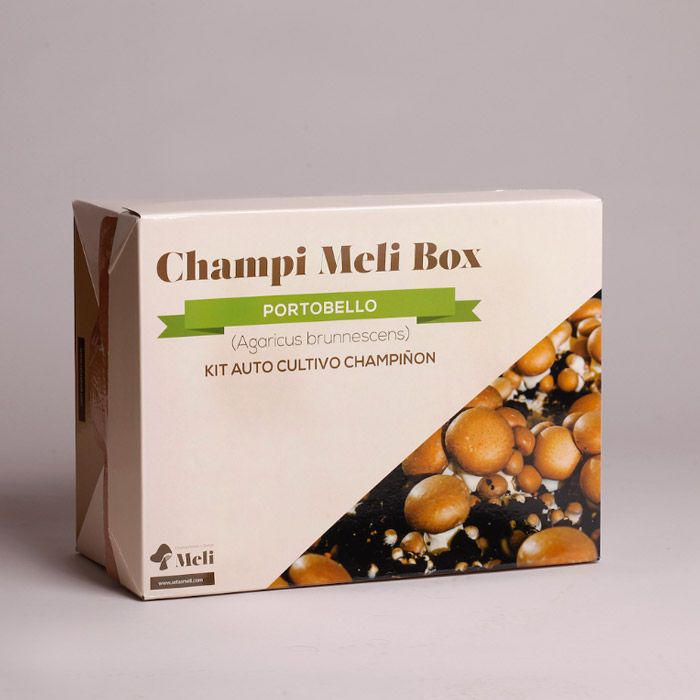 cultivo de setas en casa