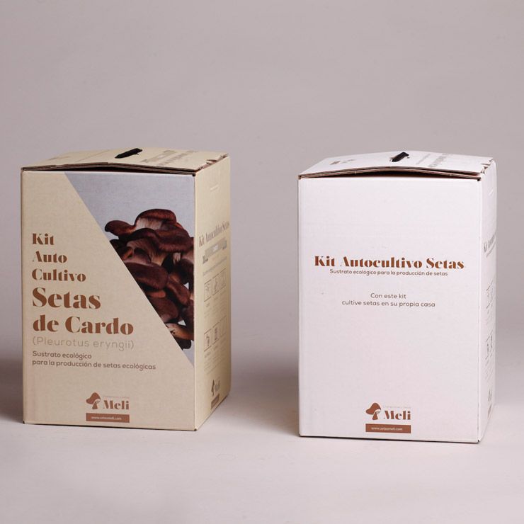 cultivo de setas en casa