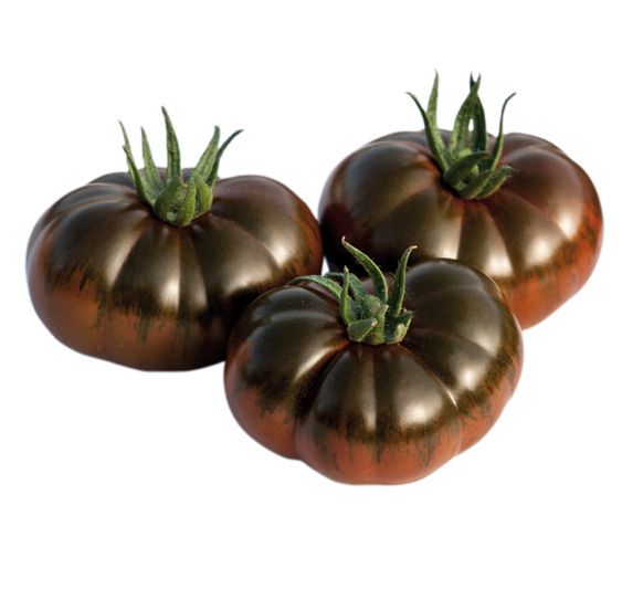 tomate iberiko